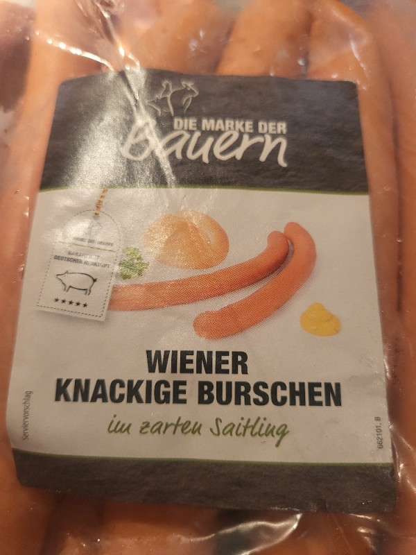 Wiener Knackige Burschen, Schweine von Tinka 120 | Hochgeladen von: Tinka 120