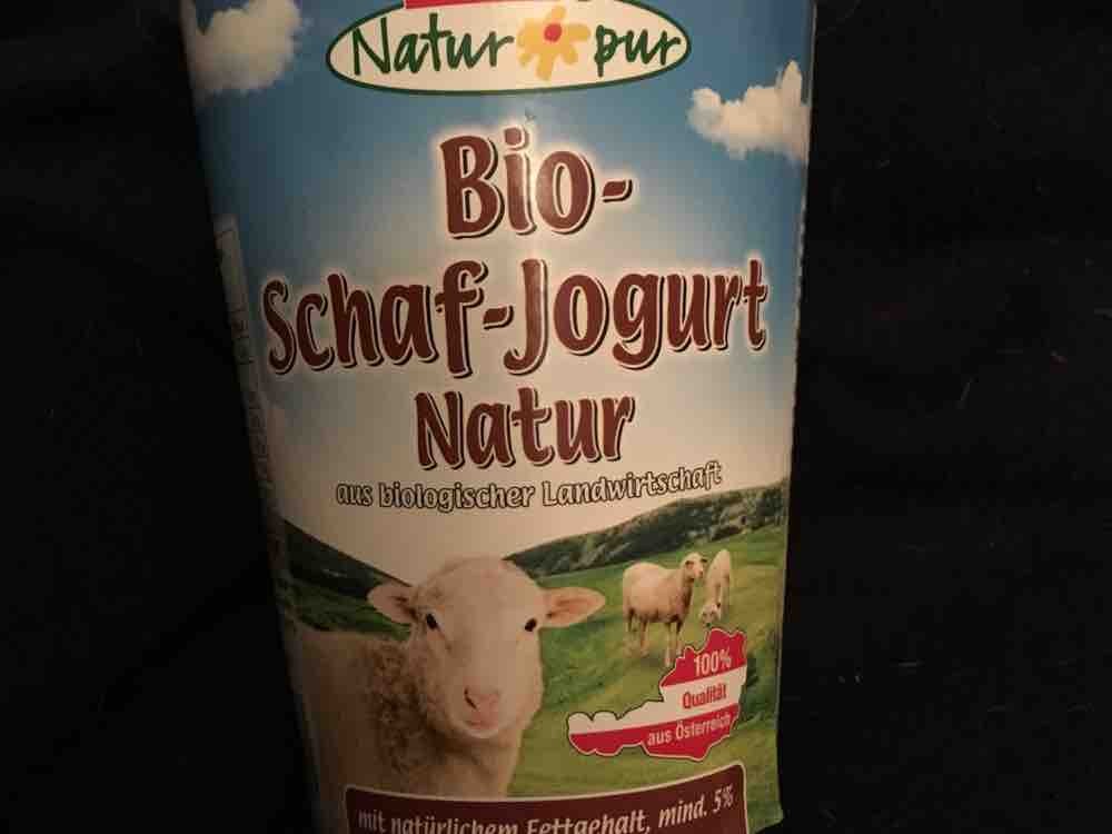 Bio-Schaf-Joghurt, 5 % Fett von mikemike | Hochgeladen von: mikemike