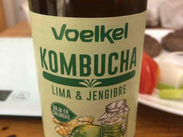 Kombucha, Lima  & jengibre von leonhennig | Hochgeladen von: leonhennig