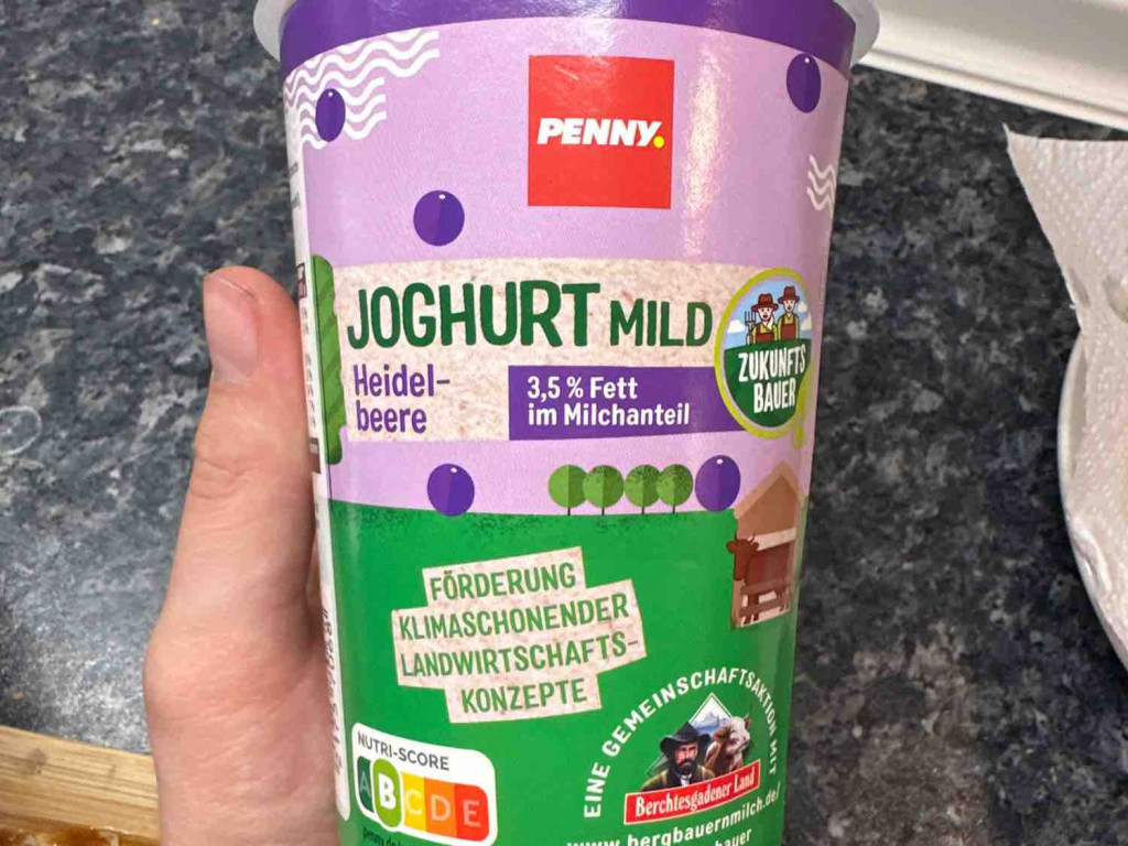 Joghurt mit Heidelbeeren, 3,5% Fett von linusprs | Hochgeladen von: linusprs