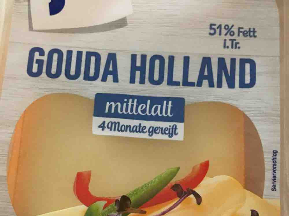 Gouda Holland mittelalt, 51% Fett von BinaPünktchen | Hochgeladen von: BinaPünktchen