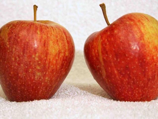 Cameo(Apfel) von pommes2 | Hochgeladen von: pommes2