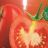 Tomaten, fein gehackt by VLB | Hochgeladen von: VLB
