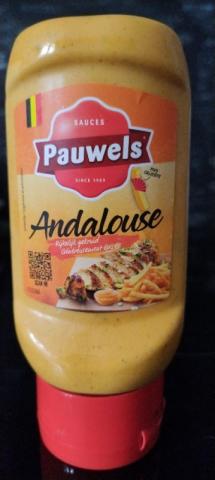 Sauce Andalouse von Schrottlise | Hochgeladen von: Schrottlise