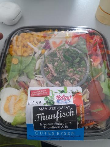 Mahlzeit-Salat Thunfisch, frischer Salat mit Thunfisch & Ei  | Hochgeladen von: erik_