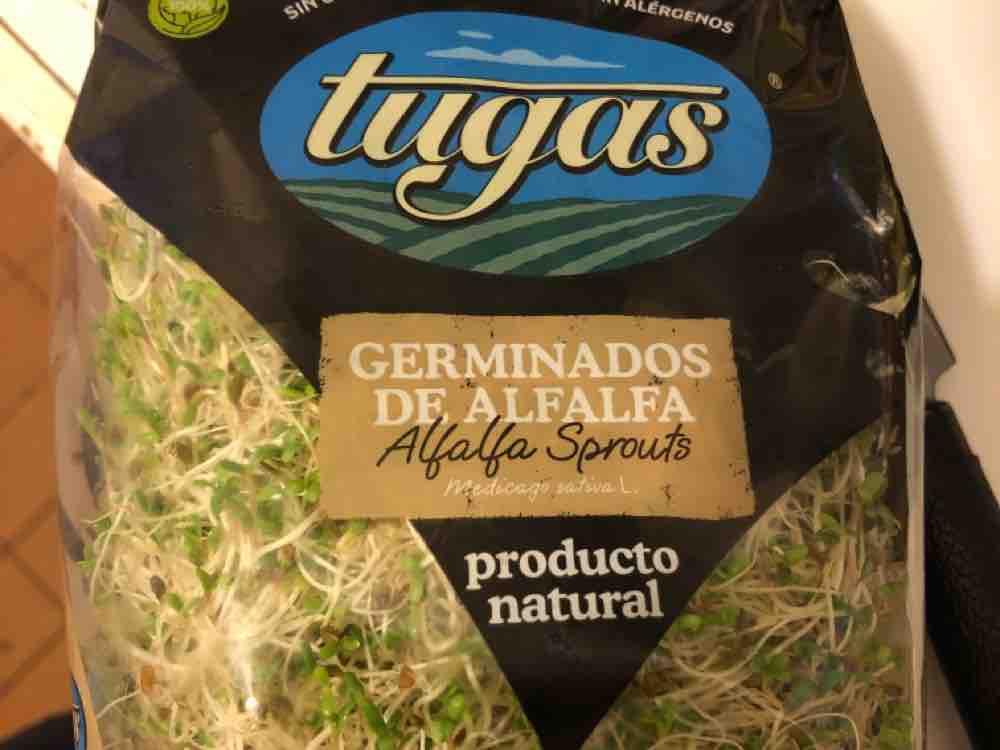 Germinados de alfalfa, Alfalfa Sprouts von leonhennig | Hochgeladen von: leonhennig