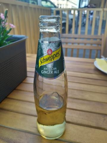 Schweppes ginger ale, American ginger ale by emad | Uploaded by: emad