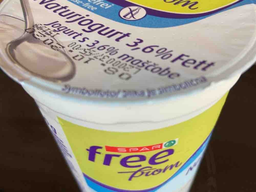 Naturjoghurt 3,6%, laktosefrei von z2020 | Hochgeladen von: z2020