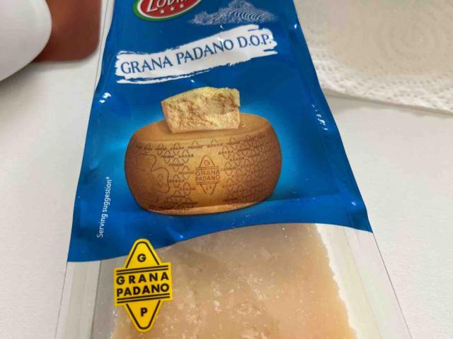 grana padano von Bernd60 | Hochgeladen von: Bernd60