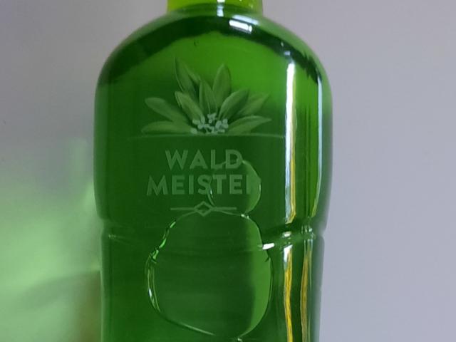 Waldmeister von HummelDeern | Hochgeladen von: HummelDeern Waldmeister von HummelDeern | Hochgeladen von: HummelDeern