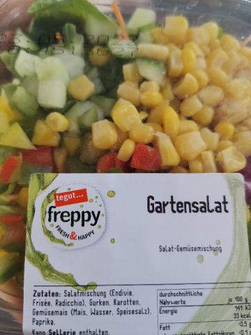 Gartensalat Freppy von haney | Hochgeladen von: haney