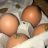 Frische Eier, aus Bodenhaltung Größe S von fetteJette | Hochgeladen von: fetteJette