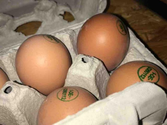 Frische Eier, aus Bodenhaltung Größe S von fetteJette | Hochgeladen von: fetteJette