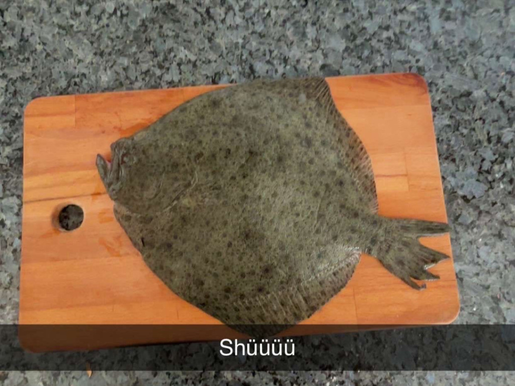 Hochgeladen von: Riccardomx