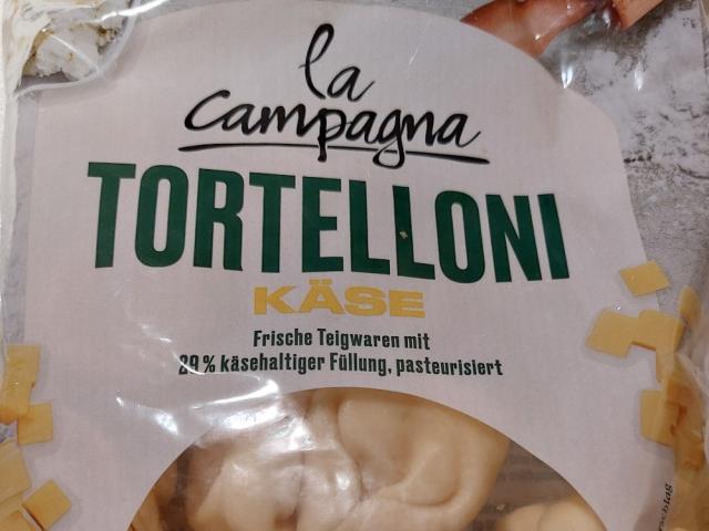 Tortelloni, Käse von BerlinLars | Hochgeladen von: BerlinLars Tortelloni, Käse von BerlinLars | Hochgeladen von: BerlinLars
