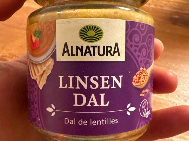 Linsen Dal Aufstrich by Aromastoff | Hochgeladen von: Aromastoff