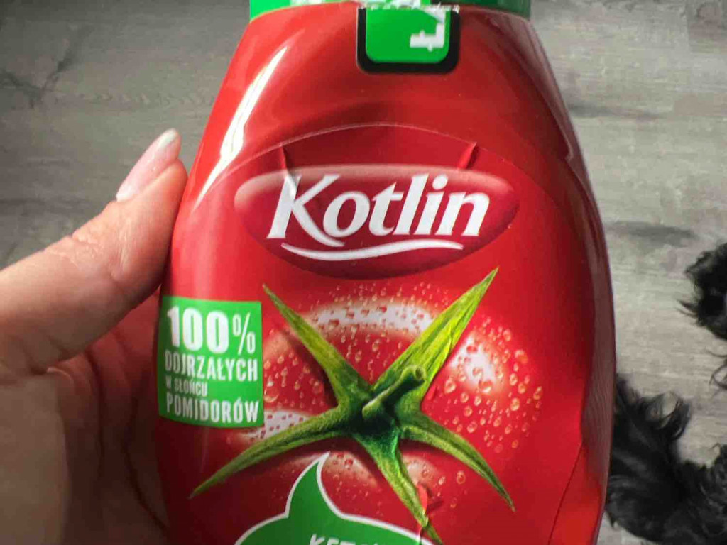 Ketchup Kotlin, mild von daria2309 | Hochgeladen von: daria2309