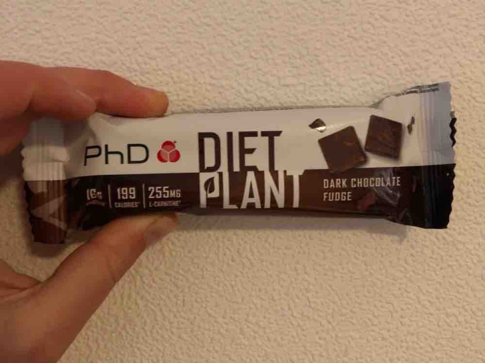 Diet Plant, Dark chocolate Fudge von Eva Schokolade | Hochgeladen von: Eva Schokolade