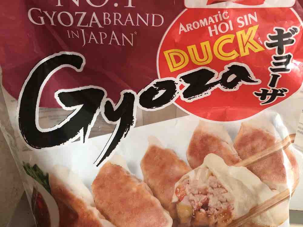 Gyoza, Hähnchen von vivarain | Hochgeladen von: vivarain