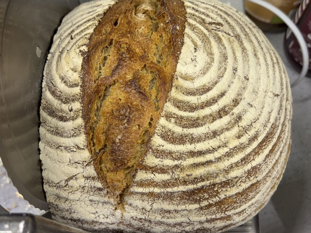 Hochgeladen von: forstine