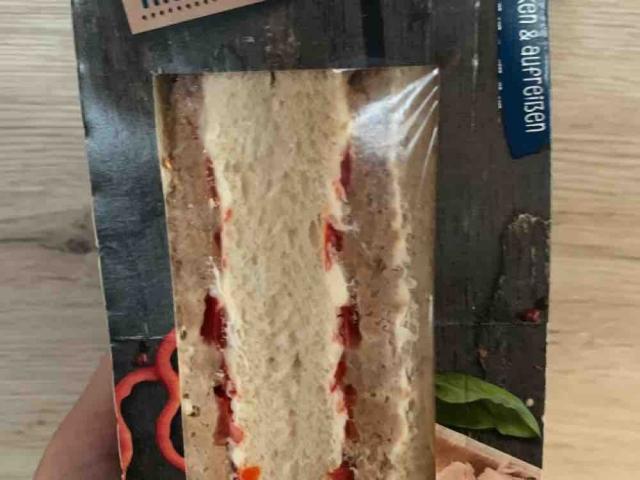 Sandwich, Thunfisch von Docht1992 | Hochgeladen von: Docht1992