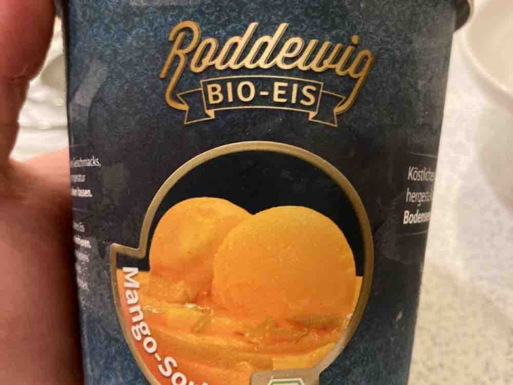 Bio  Eis, Mango-Sorbet von niklaslohr | Hochgeladen von: niklaslohr