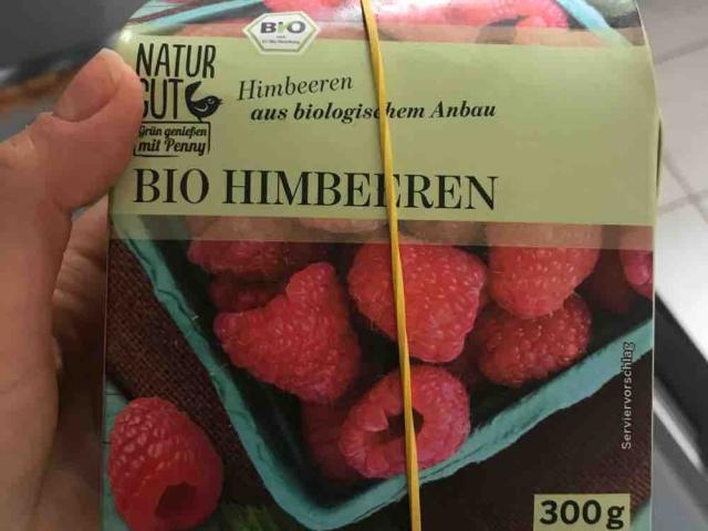 Bio Himbeeren von Rhondi | Hochgeladen von: Rhondi