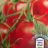 Tomaten-Saft aus Tomatensaftkonzentrat - GutBio, mit Meersalz vo | Hochgeladen von: mihzi
