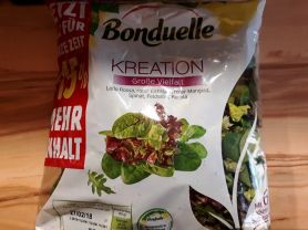 Salatkreation bunte Vielfalt, Lolo Rosso, Spinat, Eichlatt, | Hochgeladen von: cucuyo111 Salatkreation bunte Vielfalt, Lolo Rosso, Spinat, Eichlatt, | Hochgeladen von: cucuyo111