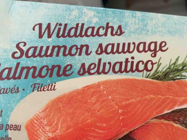 Wildlachs, Filet von DVargasJR27 | Hochgeladen von: DVargasJR27