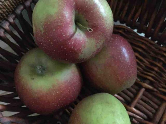 Apfel Wellant  von Aronia61 | Hochgeladen von: Aronia61