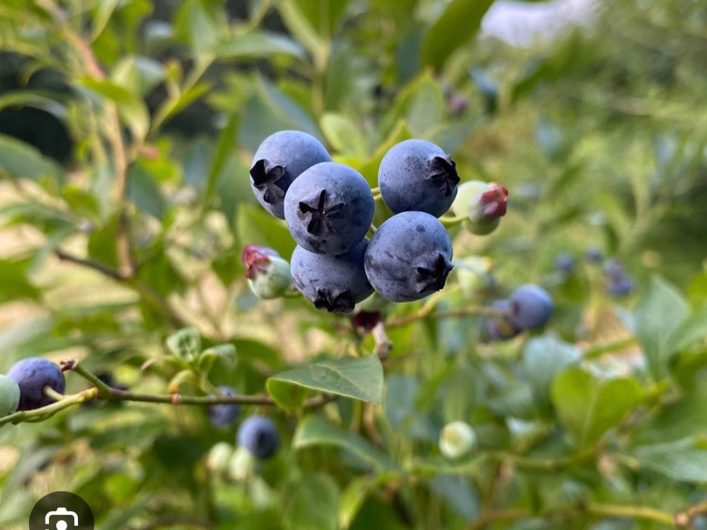 Hochgeladen von: dorismgmxat