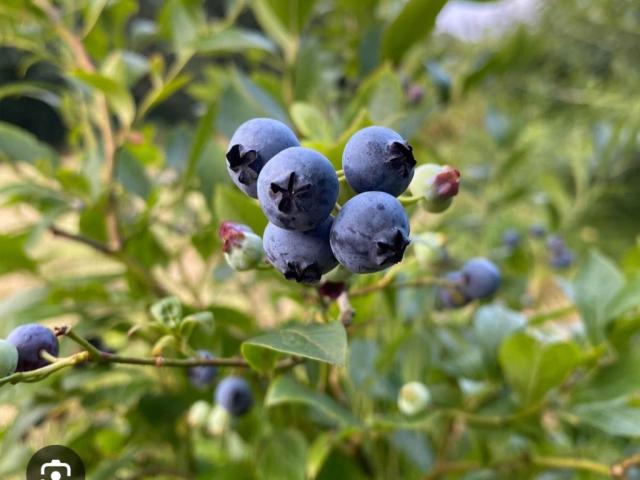 Hochgeladen von: dorismgmxat Hochgeladen von: dorismgmxat