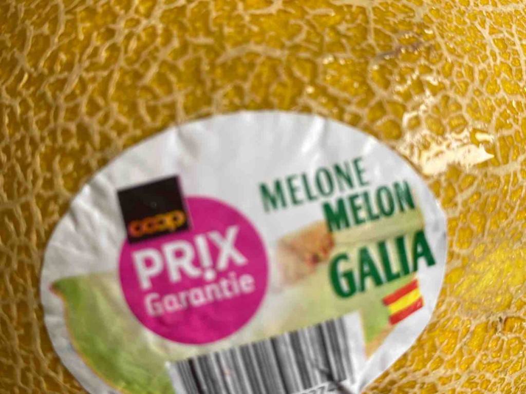 Primagusto Melone Galia von alinahunziker | Hochgeladen von: alinahunziker