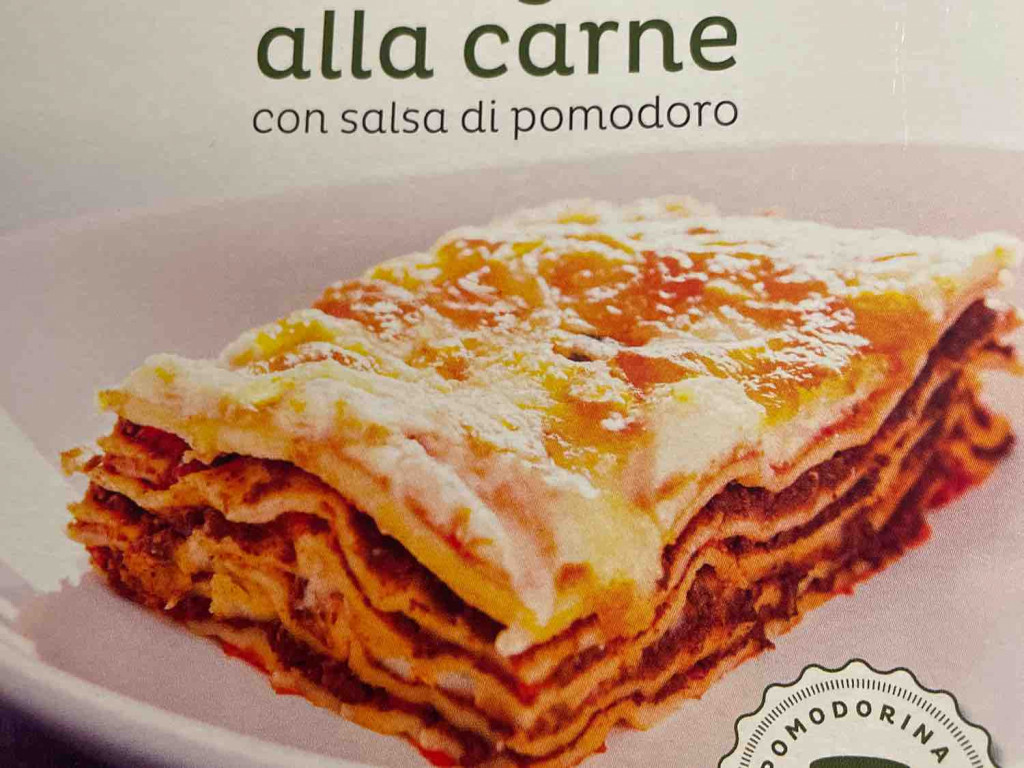 lasagne alla carne von Diego69 | Hochgeladen von: Diego69