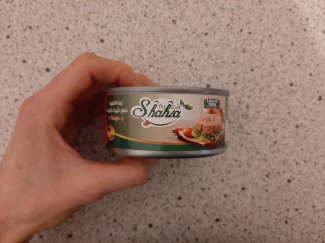 Canned Tuna, in Sojaöl von Stella Steinbrenner | Hochgeladen von: Stella Steinbrenner