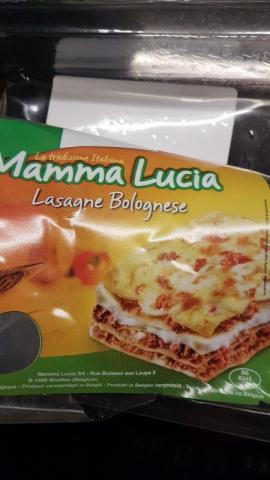 Lasagne Bolognese von anho | Hochgeladen von: anho Lasagne Bolognese von anho | Hochgeladen von: anho