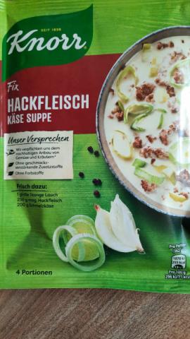 Hackfleisch-Käse  Suppe mit Lauch von Meisje62 | Hochgeladen von: Meisje62