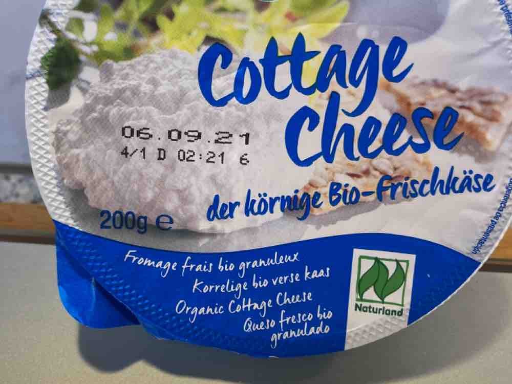 Cottage cheese - der körnige Bio Frischkäse von augustwickie | Hochgeladen von: augustwickie