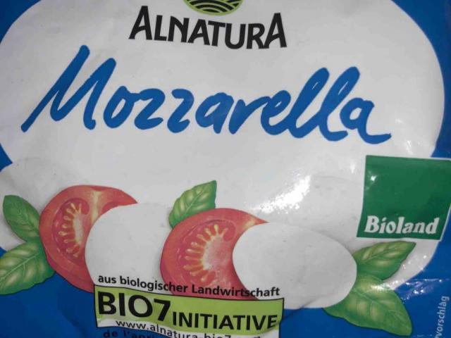Mozarella in Salzlake , 45% Fett i.Tr. von woodcomp435 | Hochgeladen von: woodcomp435