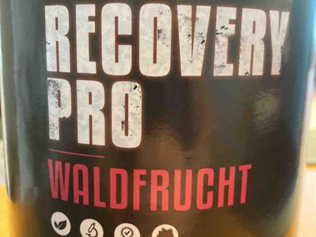 recovery pro Waldfrucht von Majesticmike | Hochgeladen von: Majesticmike