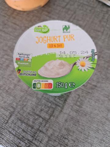 Joghurt pur, 3.8% Fett by f0k0f | Hochgeladen von: f0k0f