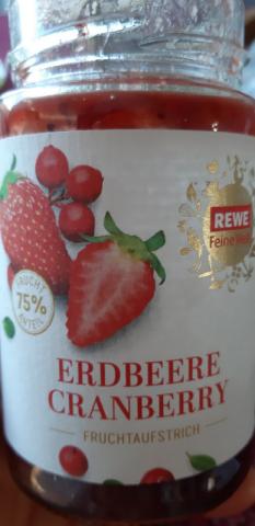 Erdbeere Cranberry Fruchtaufstrich von bemo2019 | Hochgeladen von: bemo2019