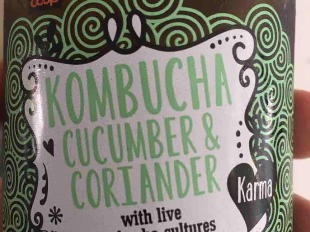 Kombucha, Cucumber und Coriander von Byrgazk | Hochgeladen von: Byrgazk