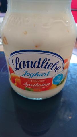 Joghurt, Mit erlesenen Aprikosen von Mayana85 | Hochgeladen von: Mayana85