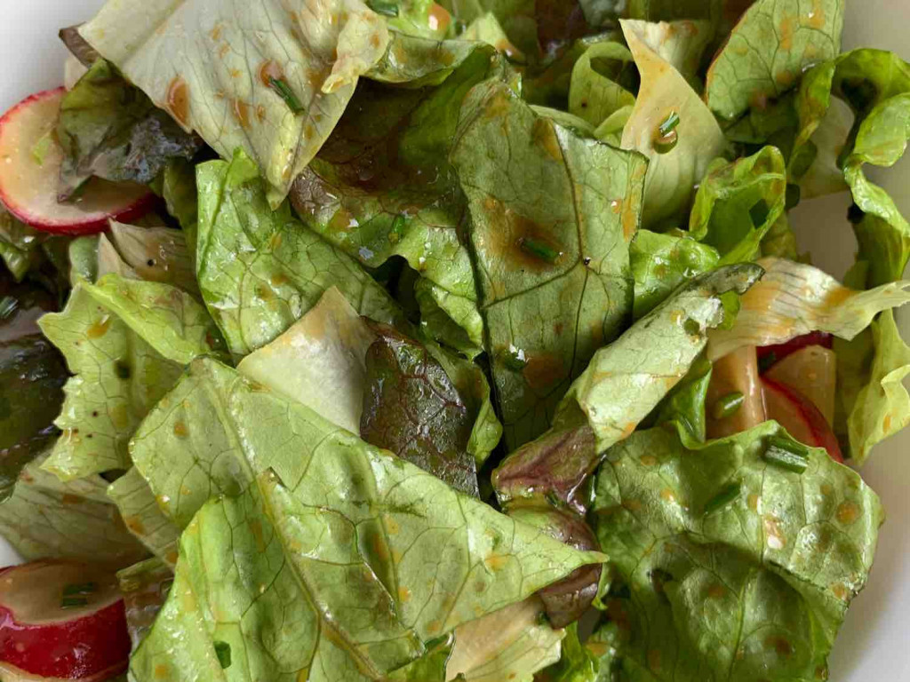 gemischter Salat von Anpax | Hochgeladen von: Anpax