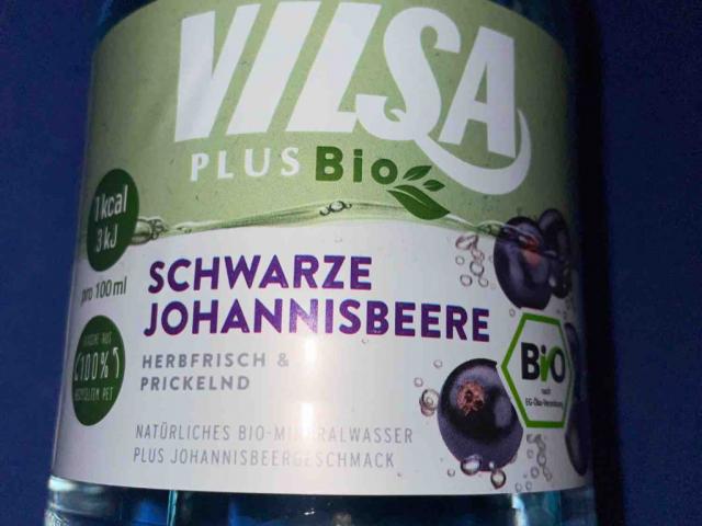 Vilsa PLUS Bio, Schwarze Johannisbeere von Quinntar | Hochgeladen von: Quinntar