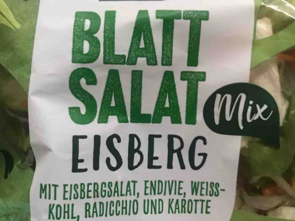 Blatt Salat Mix Eisberg, mit Eisbergsalat, Endivie, Weisskohl, R | Hochgeladen von: makiva7