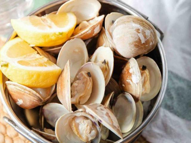 Clams by lavlav | Uploaded by: lavlav