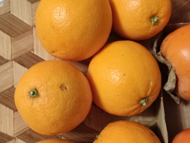 Hochgeladen von: mialei